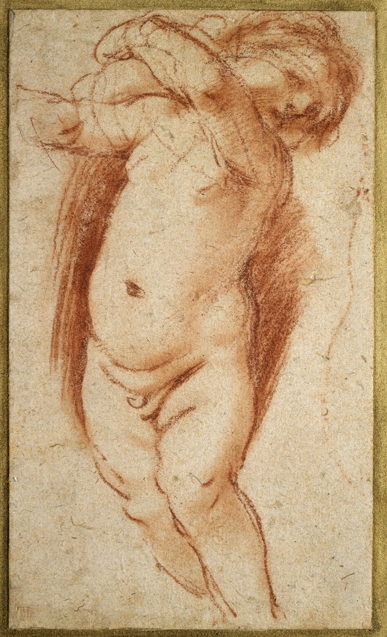 بوتو ، 1620-1624 (الطباشير الأحمر على ورق رمادي) بواسطة جيوفاني فرانشيسكو باربيري (Il Guercino)