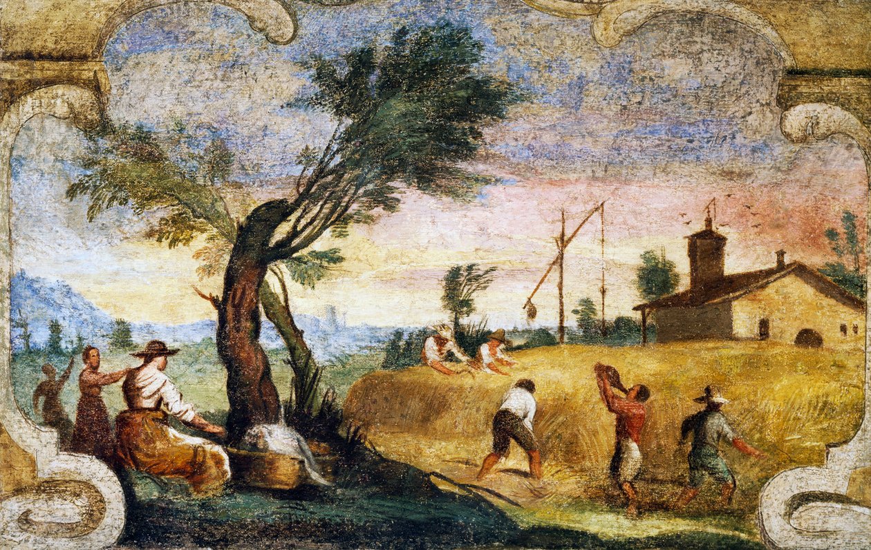 الحصاد ، لوحة جدارية لجيوفاني فرانشيسكو باربيري ، المعروف باسم il Guercino (1591-1666). بواسطة جويرسينو