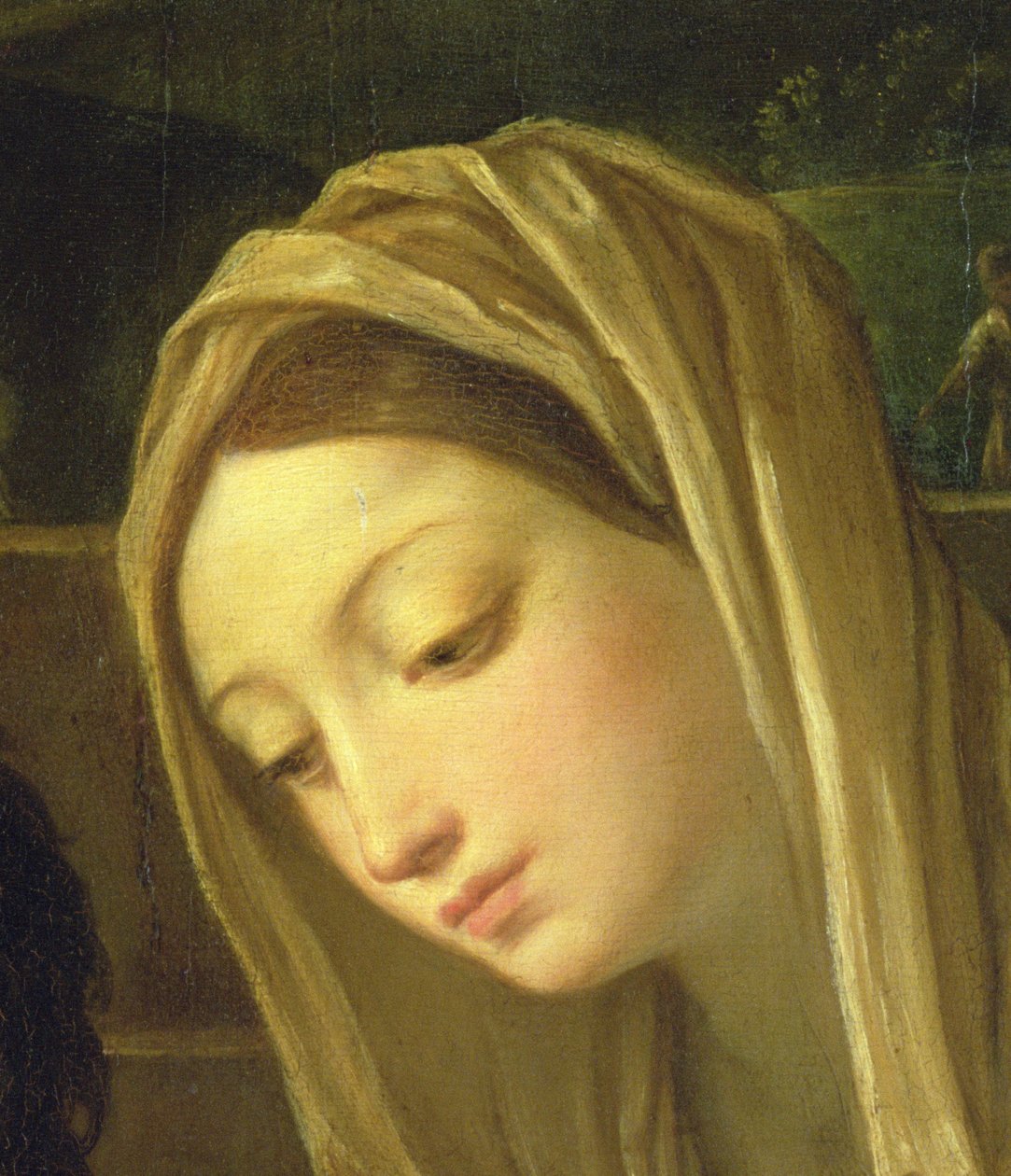 عشق الرعاة ، تفاصيل العذراء ، c.1640-42 (تفاصيل 35651) بواسطة جويدو ريني