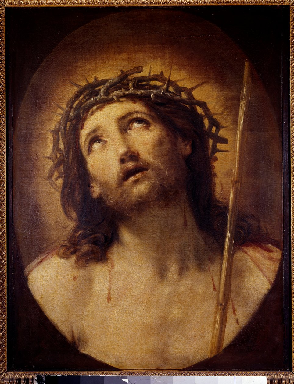 لوحة Ecce homo بواسطة Guido Reni dit Le Guide (1575-1642) من القرن السابع عشر. 0،62 × 0،48 م بواسطة جويدو ريني