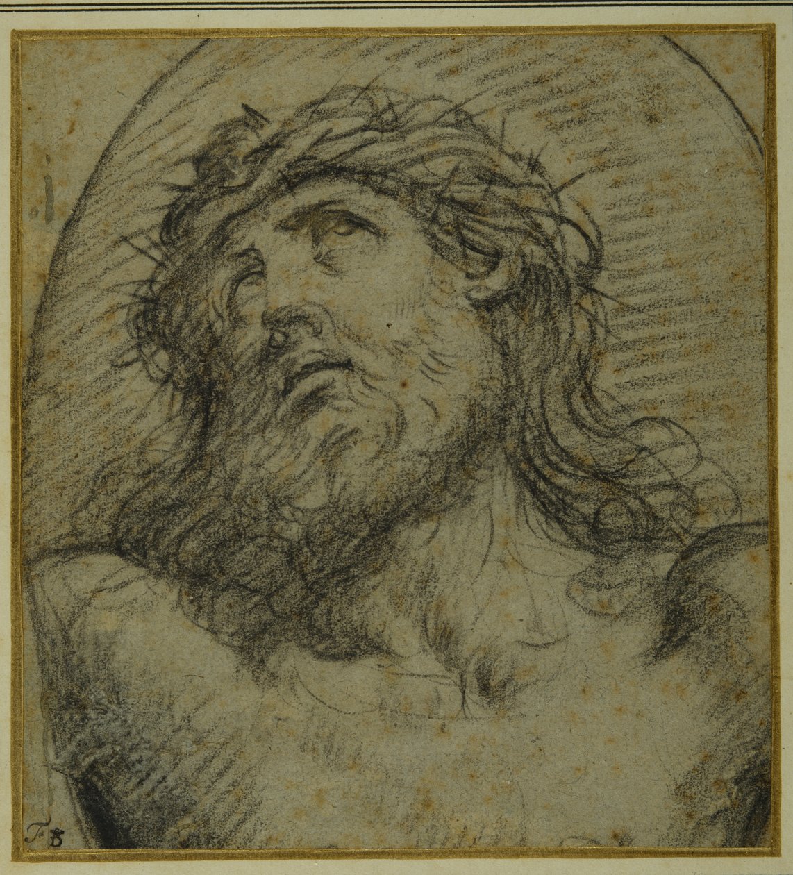 Head and shoulders of the living Christ crucified (black chalk on carta azzurra) بواسطة جويدو ريني