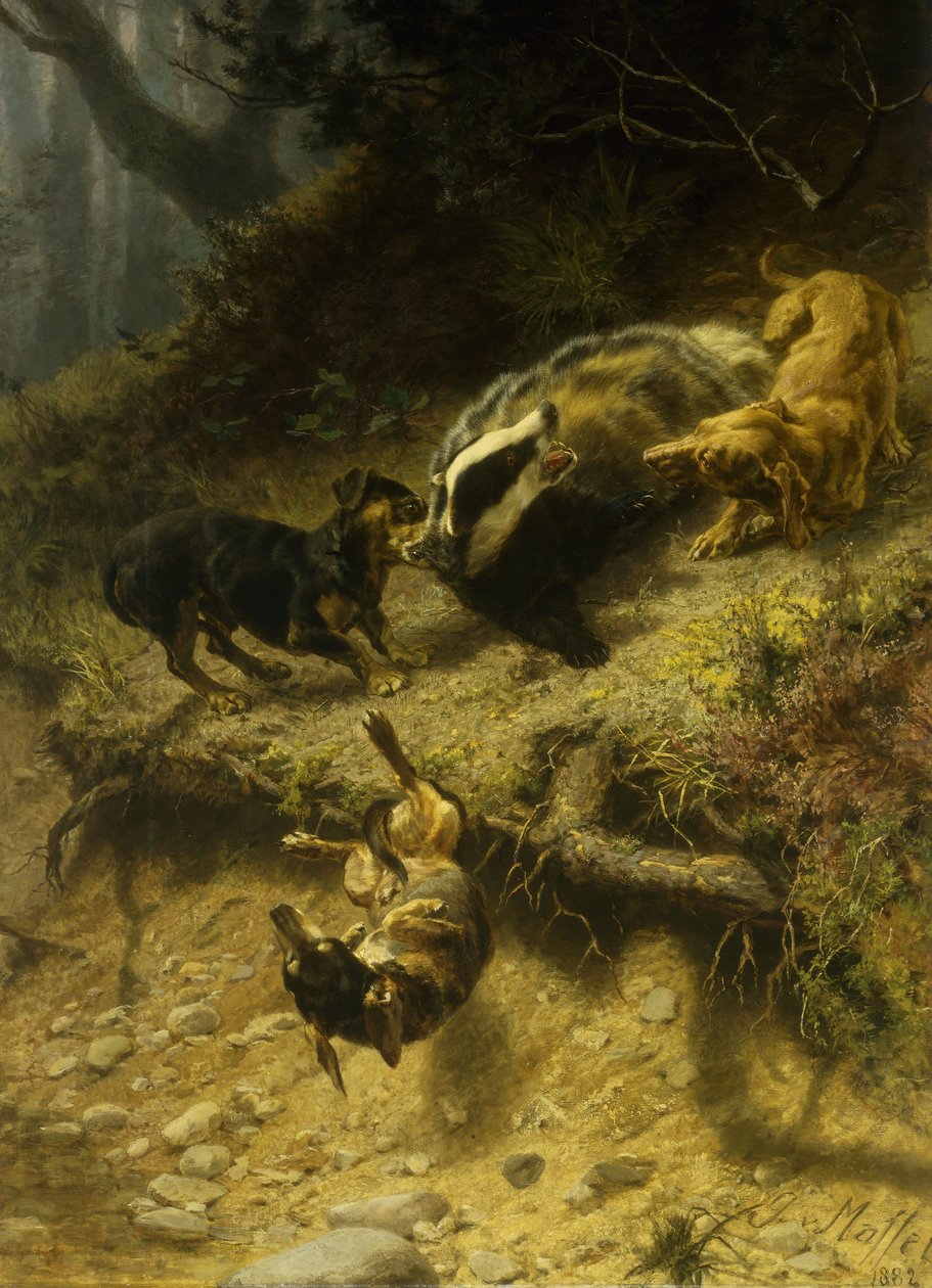 الكلاب الألمانية على Badger ، 1882 بواسطة جيدو من مافي