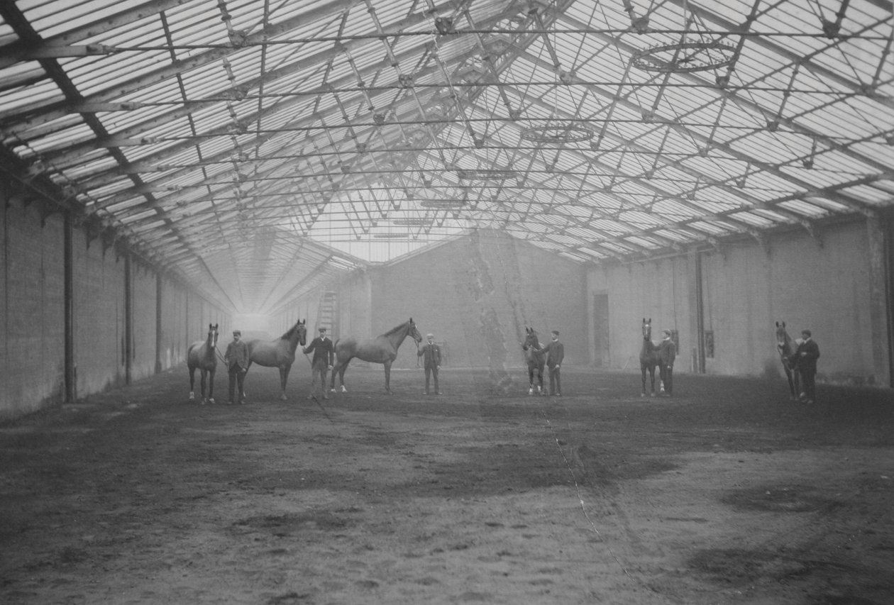 الخيول والعرسان في Tan Gallop ، Welbeck Estate (صورة b / w) بواسطة غان وستيوارت