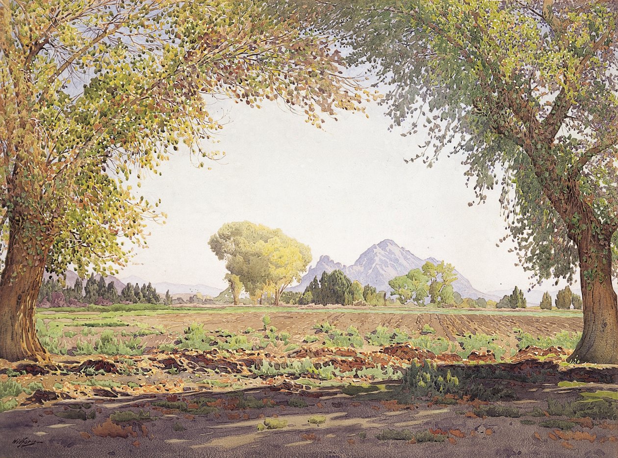 وادي نهر الملح (w - c & gouache on paper) بواسطة غونار ويدفورس