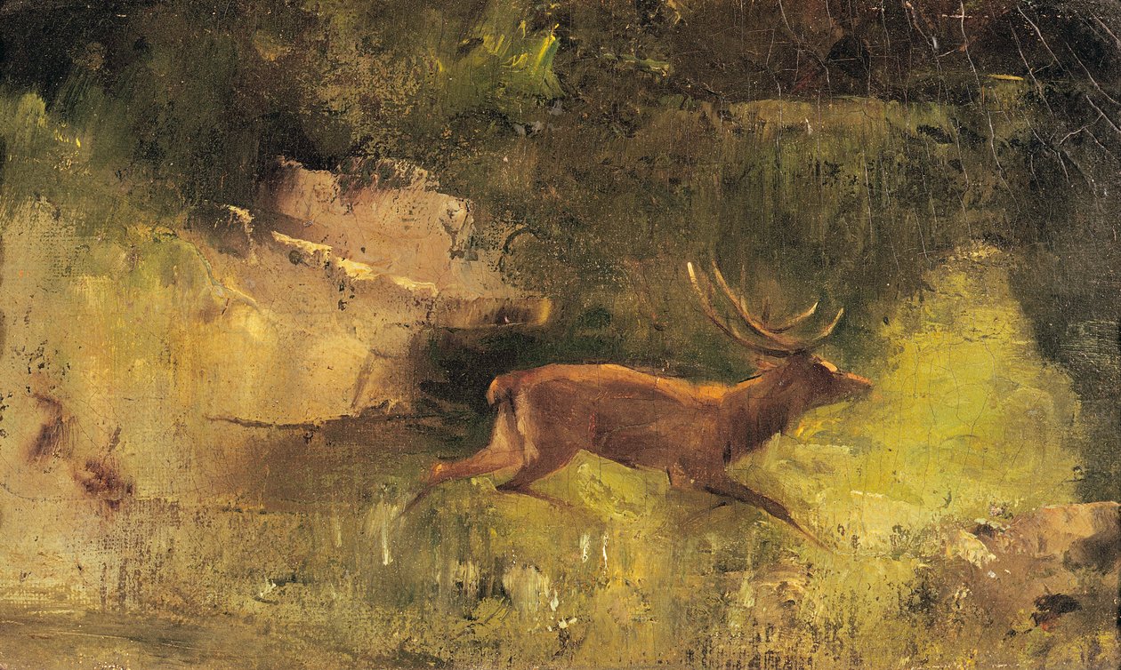 الأيل يجري من خلال الخشب ، c.1865 بواسطة غوستاف كوربيت