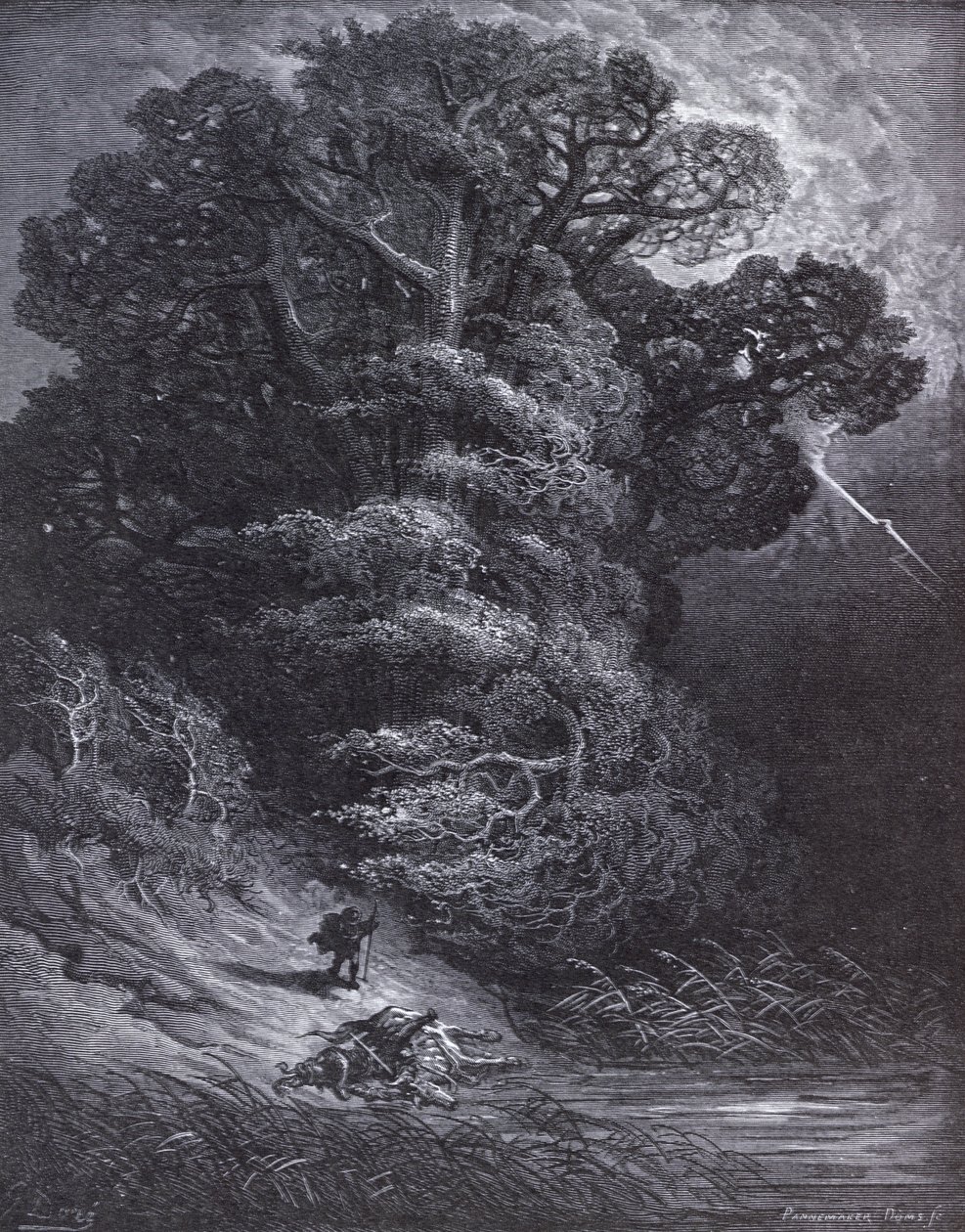 رسم توضيحي لـ The Oak and the Reed ، من "Fables" لجان دي لافونتين (1621-1695) بواسطة غوستاف دور
