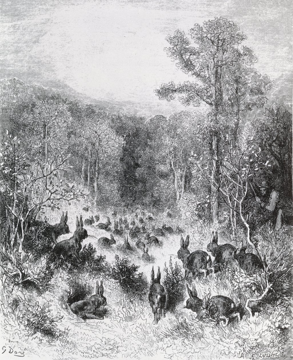 الأرانب ، رسم توضيحي من "خرافات" لافونتين ، 1868 بواسطة غوستاف دور