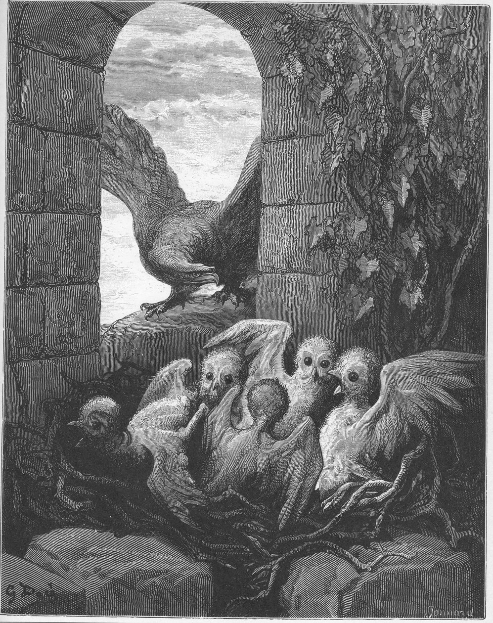 L'Aigle et le Hibou - The Eagle and the Owl - من "الخرافات" لجين دي لافونتين (لافونتين) (1621-95) - إنجرافين بعد غوستاف دوري (1832-1883) - مجموعة خاصة بواسطة غوستاف (بعد) دوري