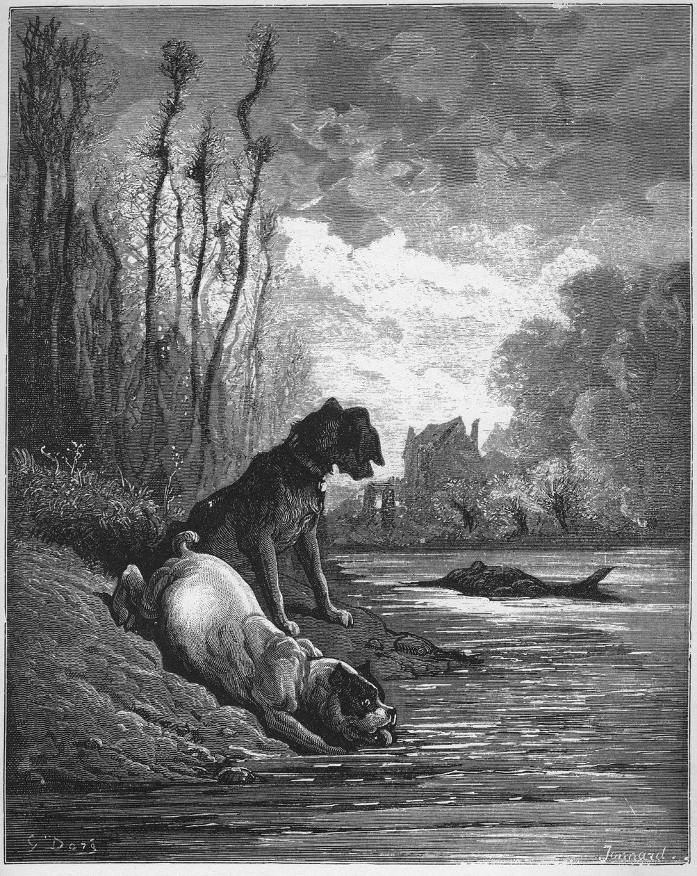 Les Deux Chiens et L'ane mort - The Two Dogs and the حمار ميت - من "الخرافات" لجان دي لافونتين (لافونتين) (1621-95) - نقش بعد غوستاف دوري (1832-1883) - مجموعة خاصة بواسطة غوستاف (بعد) دوري