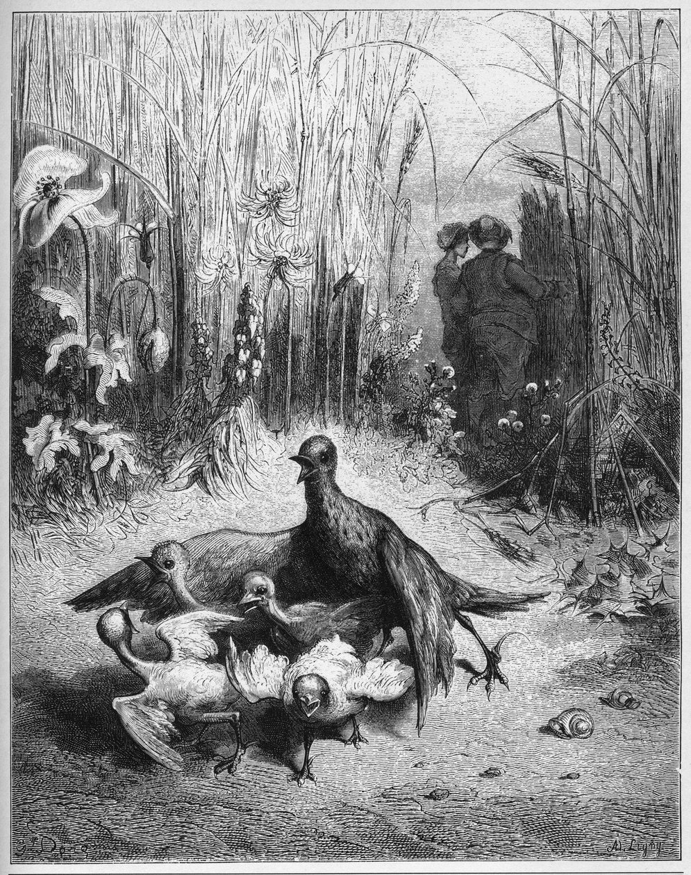 L'lark et ses petits avec le maitre d'une champ - The Lark And Her Young Ones With The Owner Of A Field - من "Fables" لـ Jean de La Fontaine (Lafontaine) (1621-95) - نقش بعد Gustave Dore ( 1832-1883) - مجموعة خاصة بواسطة غوستاف (بعد) دوري