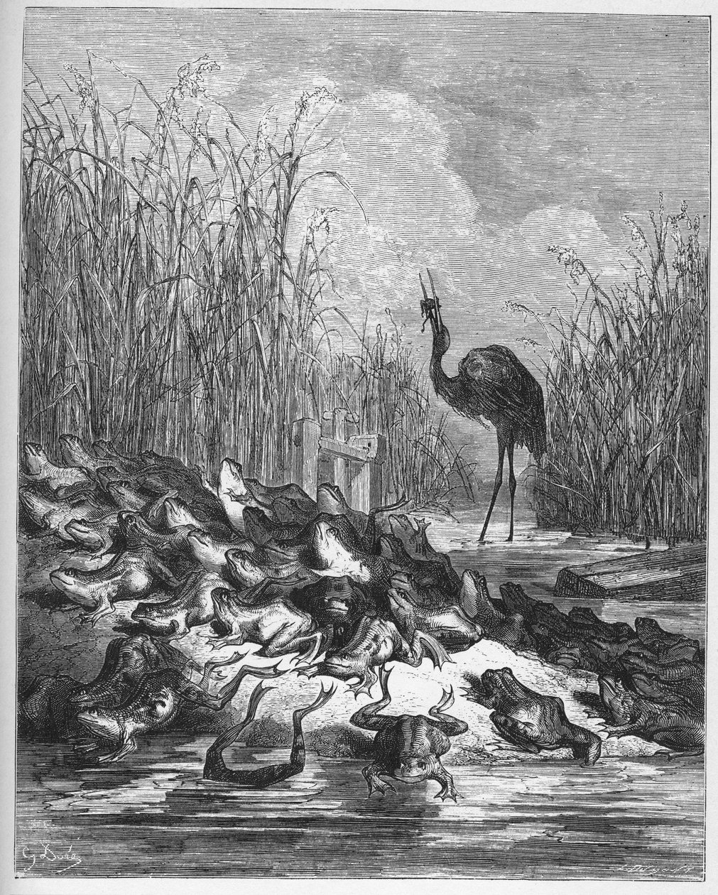 الضفادع التي أرادت ملكًا - من "الخرافات" لجين دي لافونتين (لافونتين) (1621-95) - نقش بعد غوستاف دوري (1832-1883) - مجموعة خاصة بواسطة غوستاف (بعد) دوري