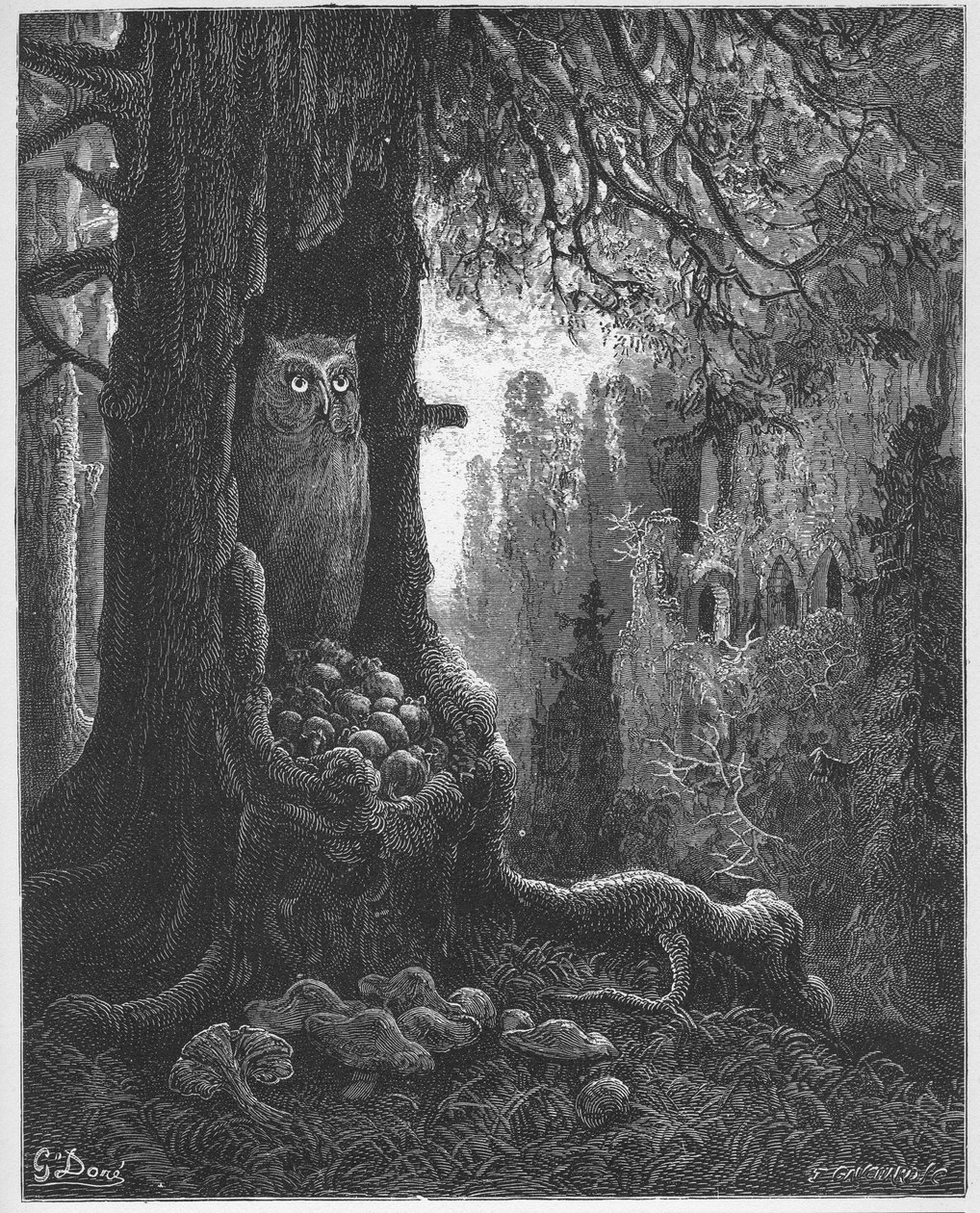 Les mice et le chat-huant - The Mice and the Owl - من "الخرافات" لجين دي لافونتين (لافونتين) (1621-95) - نقش بعد غوستاف دوري (1832-1883) - مجموعة خاصة بواسطة غوستاف (بعد) دوري