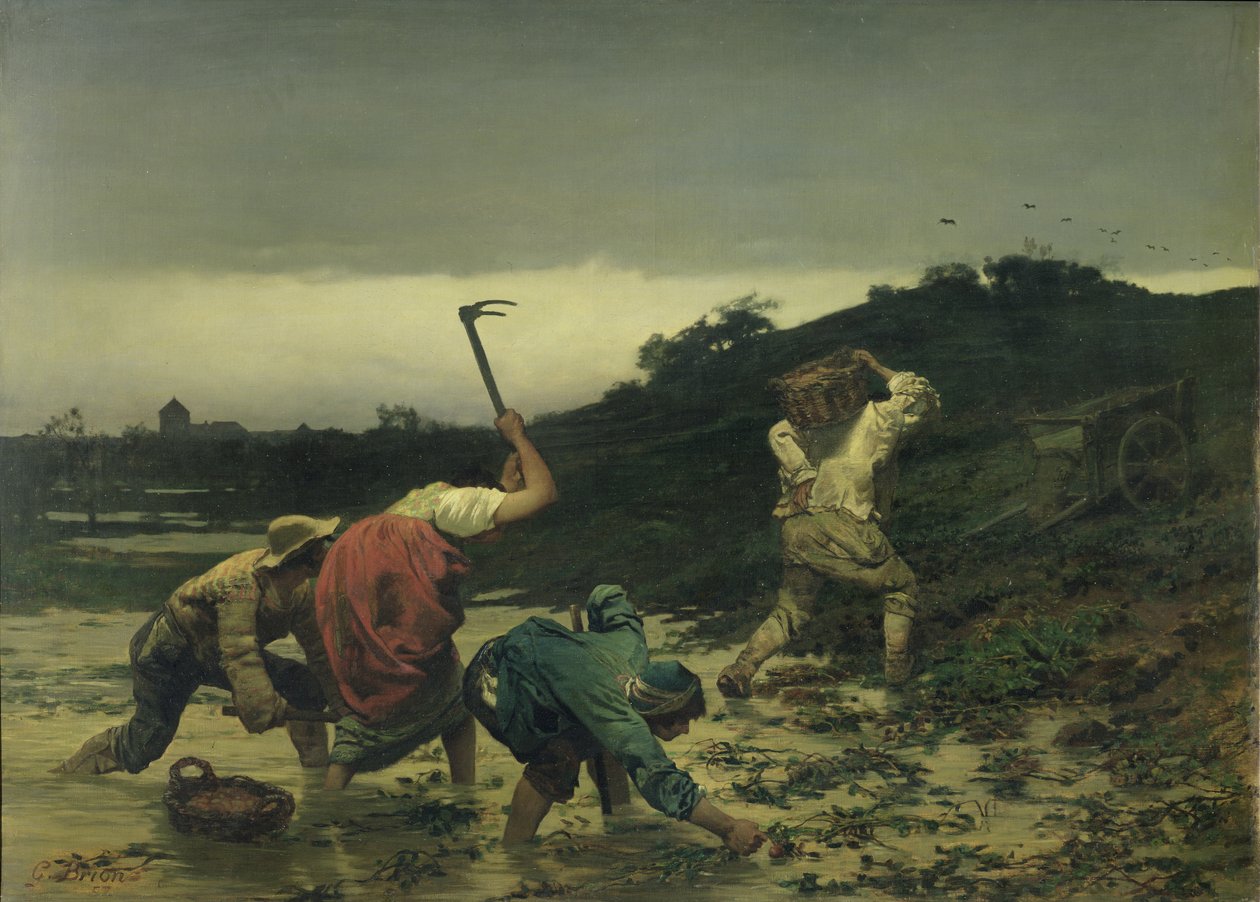 الفلاحون يحصدون البطاطس أثناء طوفان نهر الراين عام 1852 بواسطة غوستاف بريون