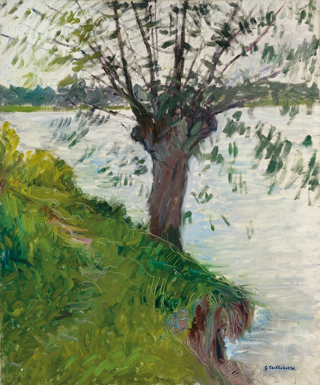 الصفصاف على ضفاف النهر ؛ Saule au bord de la riviere، c. 1891 بواسطة غوستاف كايليبوت