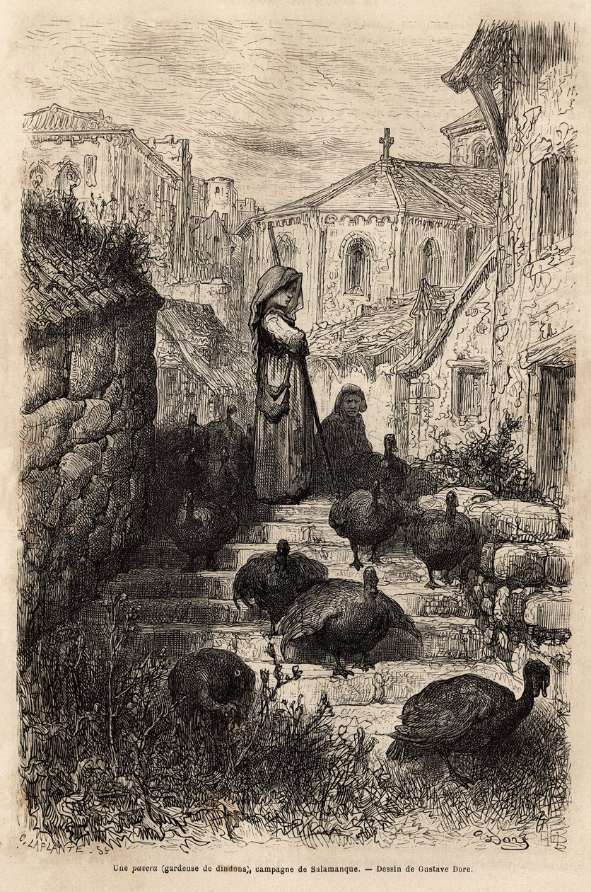 حارس ديك رومي ، في شوارع قرية في ريف سالامانكا. رسم لجوستاف دوري (1832-1883). نقش لتوضيح الرحلة في إسبانيا ، بقلم تشارلز ديفيلير ، في عام 1862 ، نُشر في "" Le Tour du monde "" "1872 ، حرره إدوارد تشارت بواسطة غوستاف دور