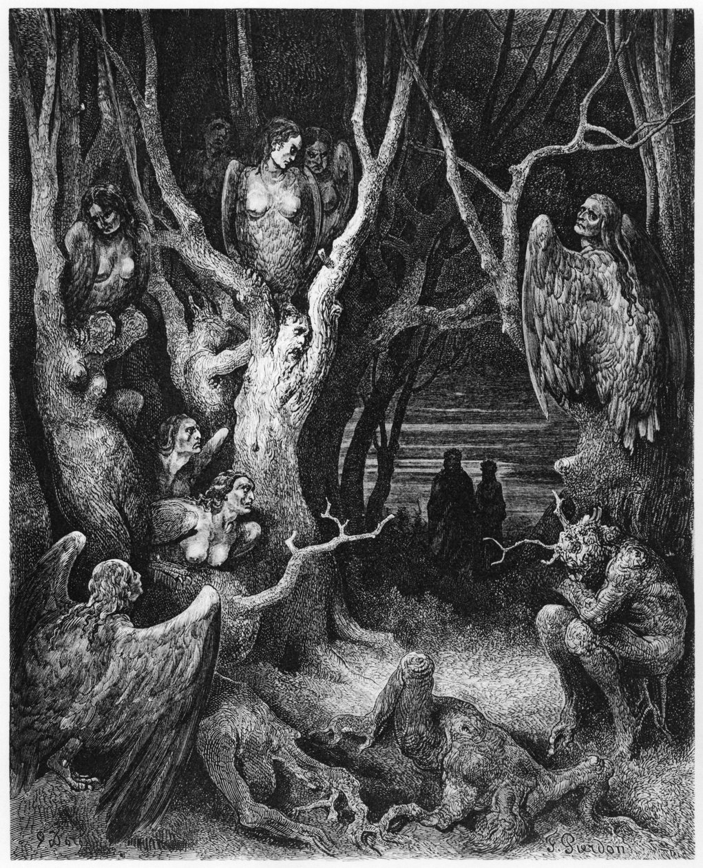Harpies ، رسم توضيحي من "الكوميديا الإلهية" (جحيم) لدانتي أليغييري (1265-1321) باريس ، نُشر عام 1885 بواسطة غوستاف دور