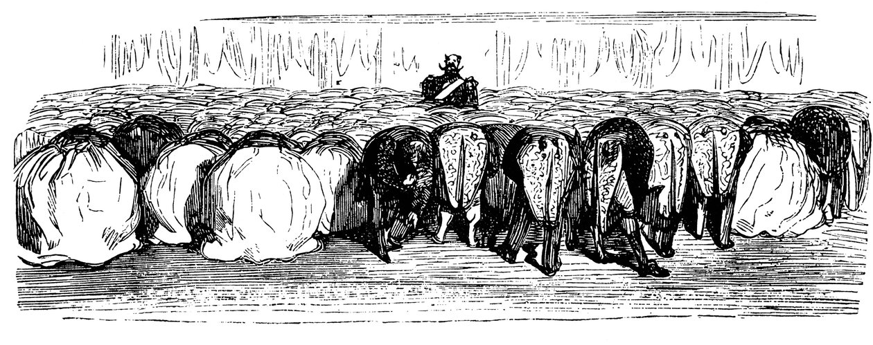 تاريخ روسيا المقدسة. كرة رائعة في قصر الشتاء 1854. بواسطة غوستاف دور