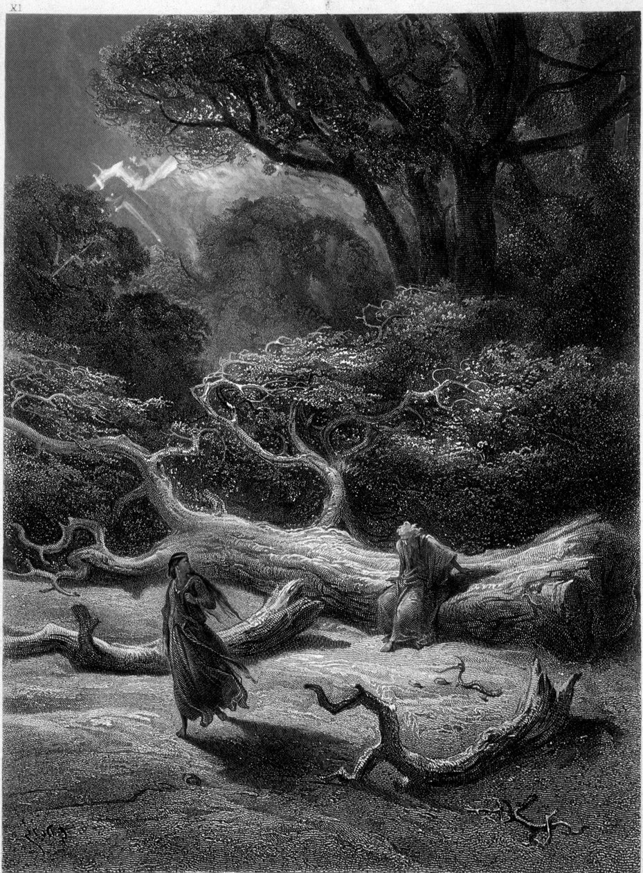 Merlin و Viviane في غابة Broceliande (Cycle des chevaliers de la Table Ronde) - في "" Viviane "لألفريد تينيسون ، رسم إيضاحي لـ G. Doré بواسطة غوستاف دور