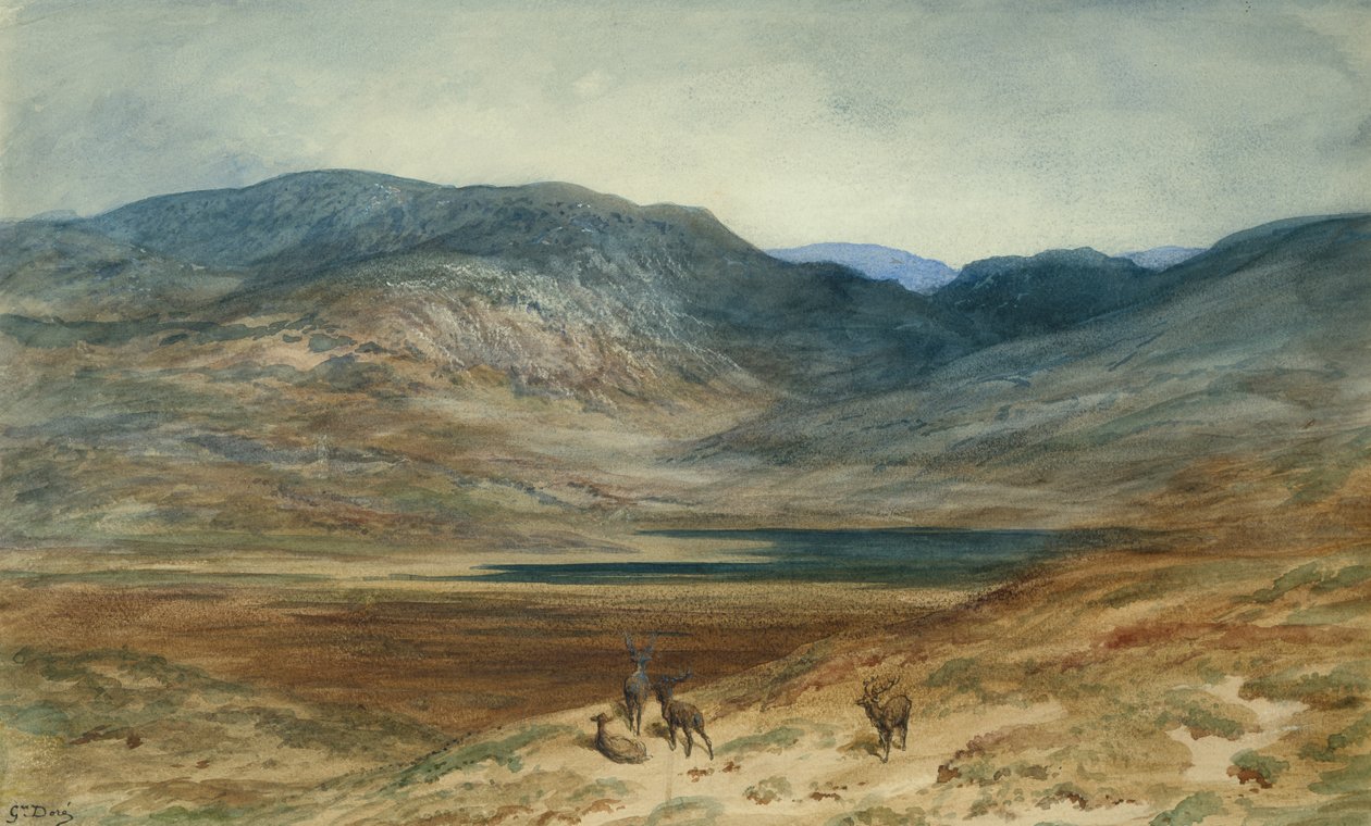 منظر طبيعي جبلي مع السيقان ، 1873 (مرحاض وتلوين على ورق) بواسطة غوستاف دور