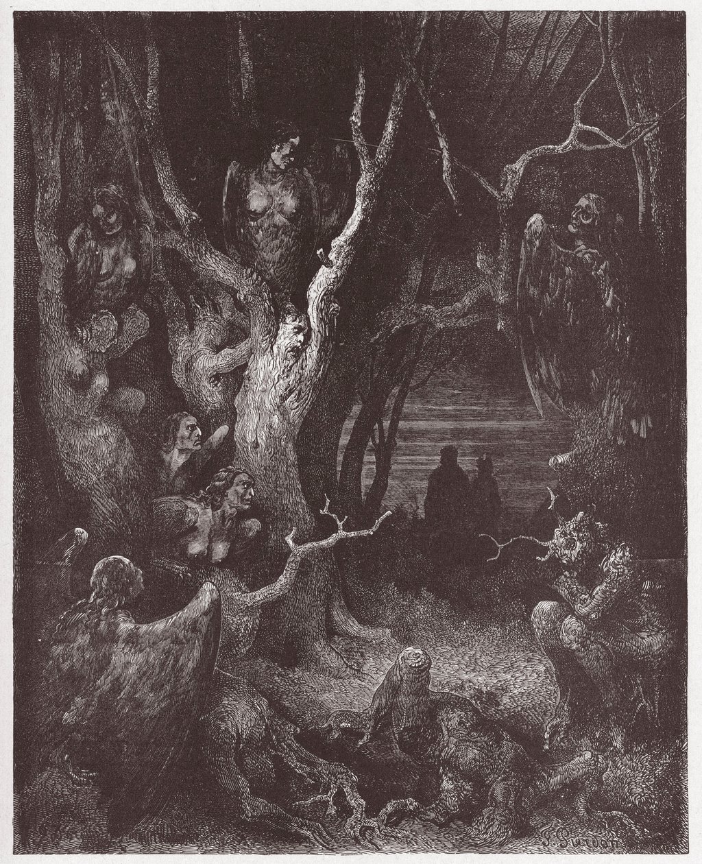 الكوميديا الإلهية (La Divina Commedia ، La Divine Comedie) ، Inferno ، Canto 13: The Harpies in the forest of suicides - بقلم دانتي أليغيري (1265-1321) - رسم من غوستاف دوري (1832-1883) بواسطة غوستاف دور