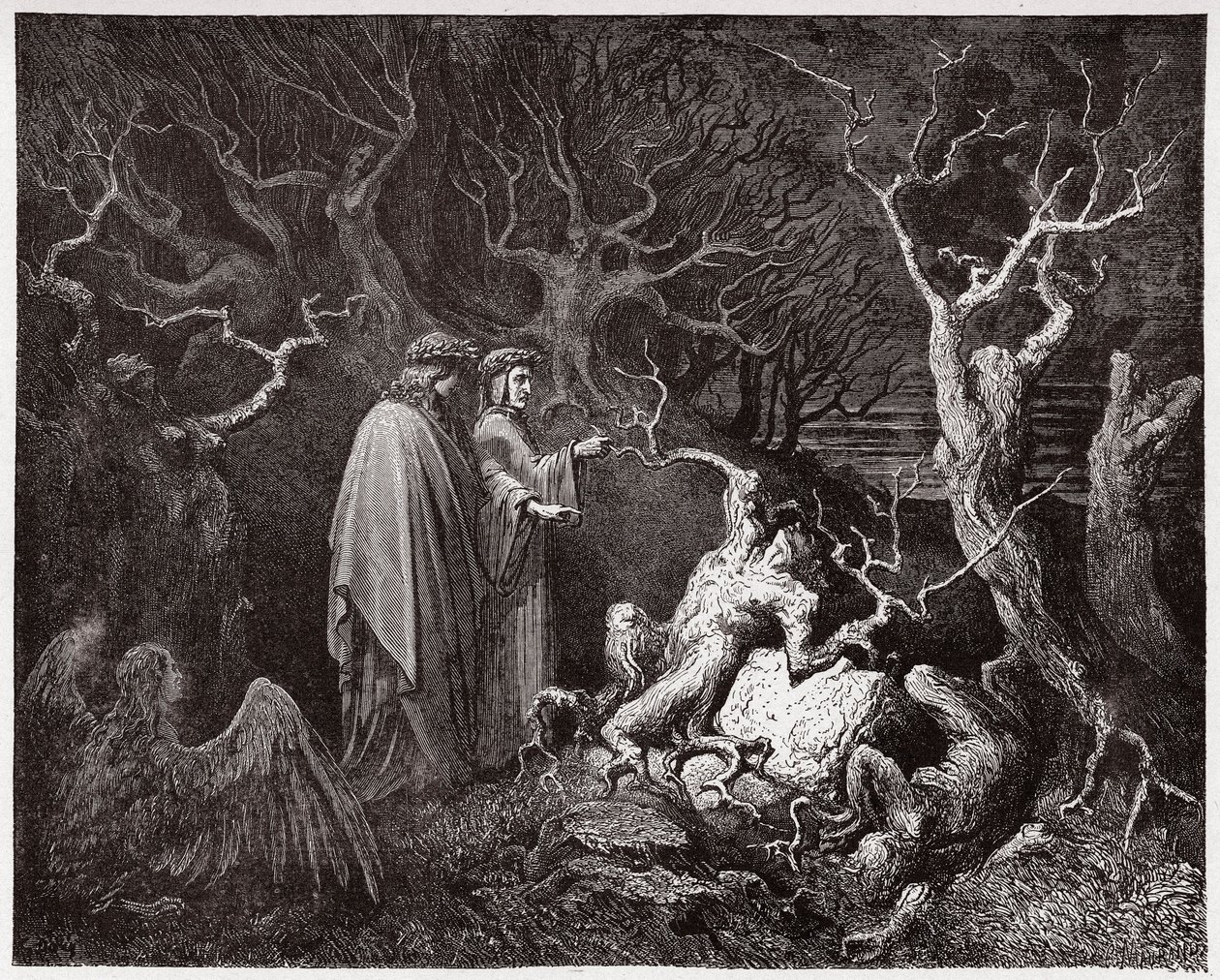 الكوميديا الإلهية (La Divina Commedia ، La Divine Comedie) ، جحيم ، كانتو 13: حالات الانتحار في الغابة - بقلم دانتي أليغيري (1265-1321) - رسم توضيحي لغوستاف دوري (1832-1883) بواسطة غوستاف دور