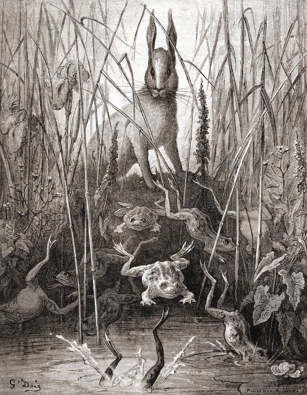 The Hare and The Frogs ، من طبعة أواخر القرن التاسع عشر من Fables de La Fontaine (نقش الخشب) بواسطة غوستاف دور