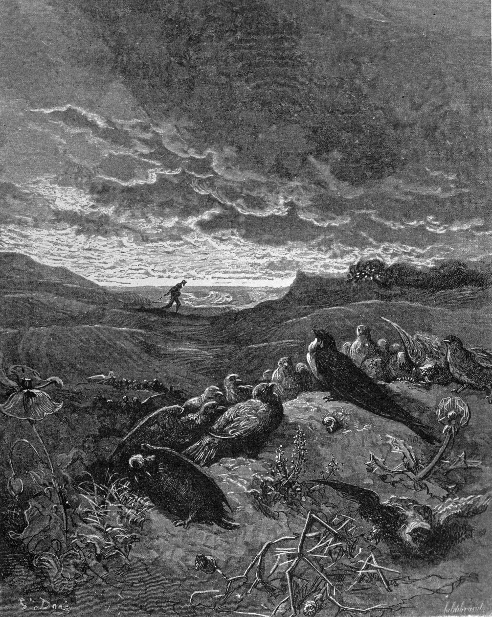السنونو والطيور ، رسم توضيحي من "خرافات" بواسطة لافونتين ، 1868 بواسطة غوستاف دور