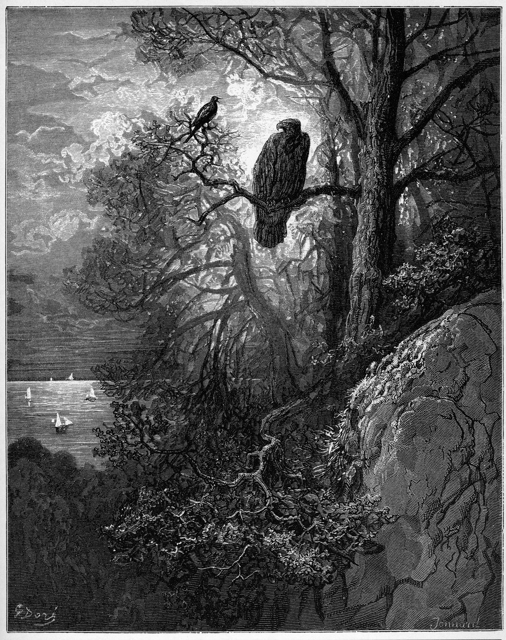 l "aigle et la pie - النسر والعقعق - من" Fables "للمخرج جان دي لافونتين بواسطة غوستاف دور