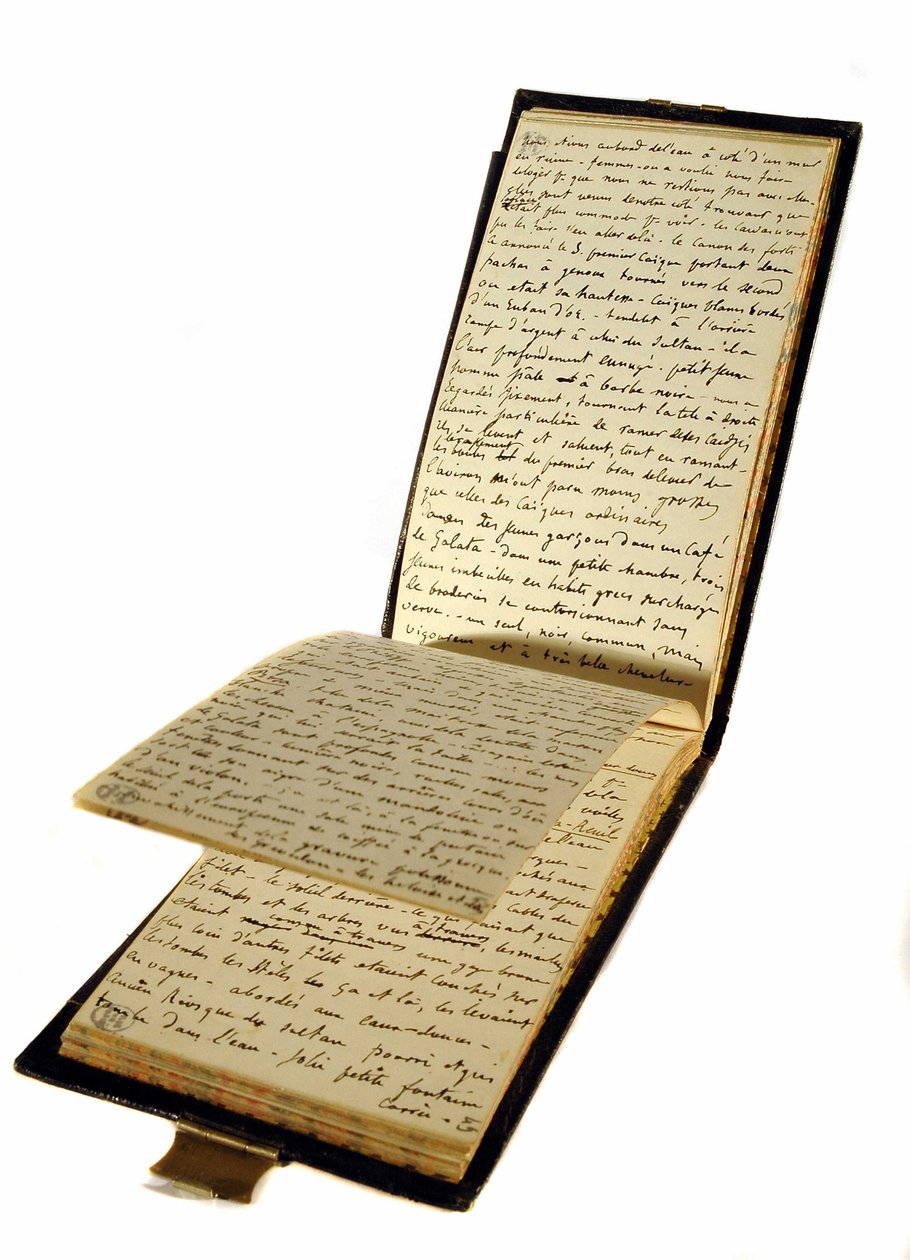 كتاب سفر جوستاف فلوبير (1821-1880) ، الكاتب الفرنسي ، المكتبة التاريخية من بواسطة جوستاف فلوبير