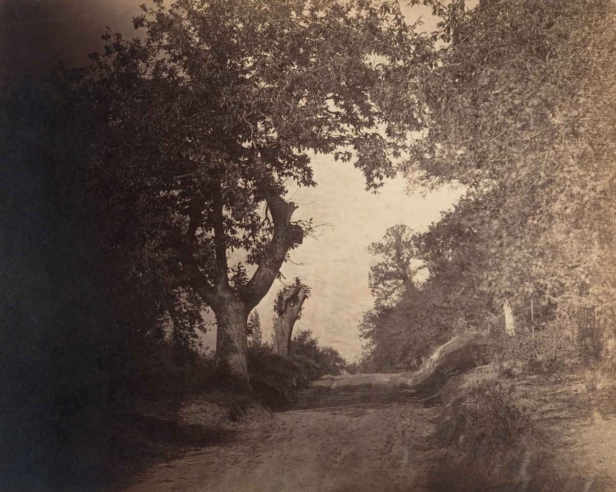 فونتينبلو ، مسار رملي صعودًا ، كاليفورنيا. 1856. بواسطة غوستاف ليجراي