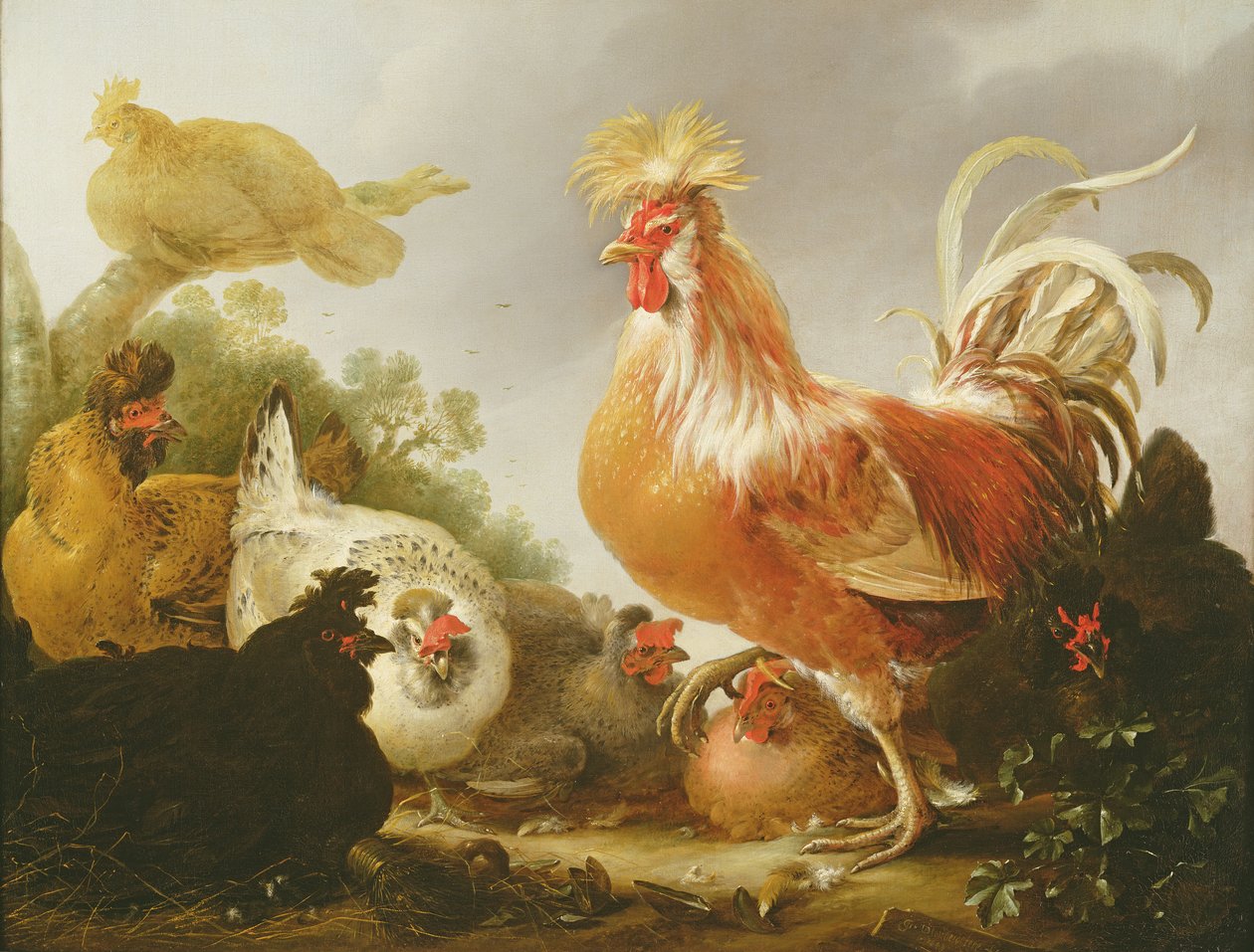 كوكريل والدجاج في المناظر الطبيعية ، 1649 بواسطة Gysbert Hondecoeter