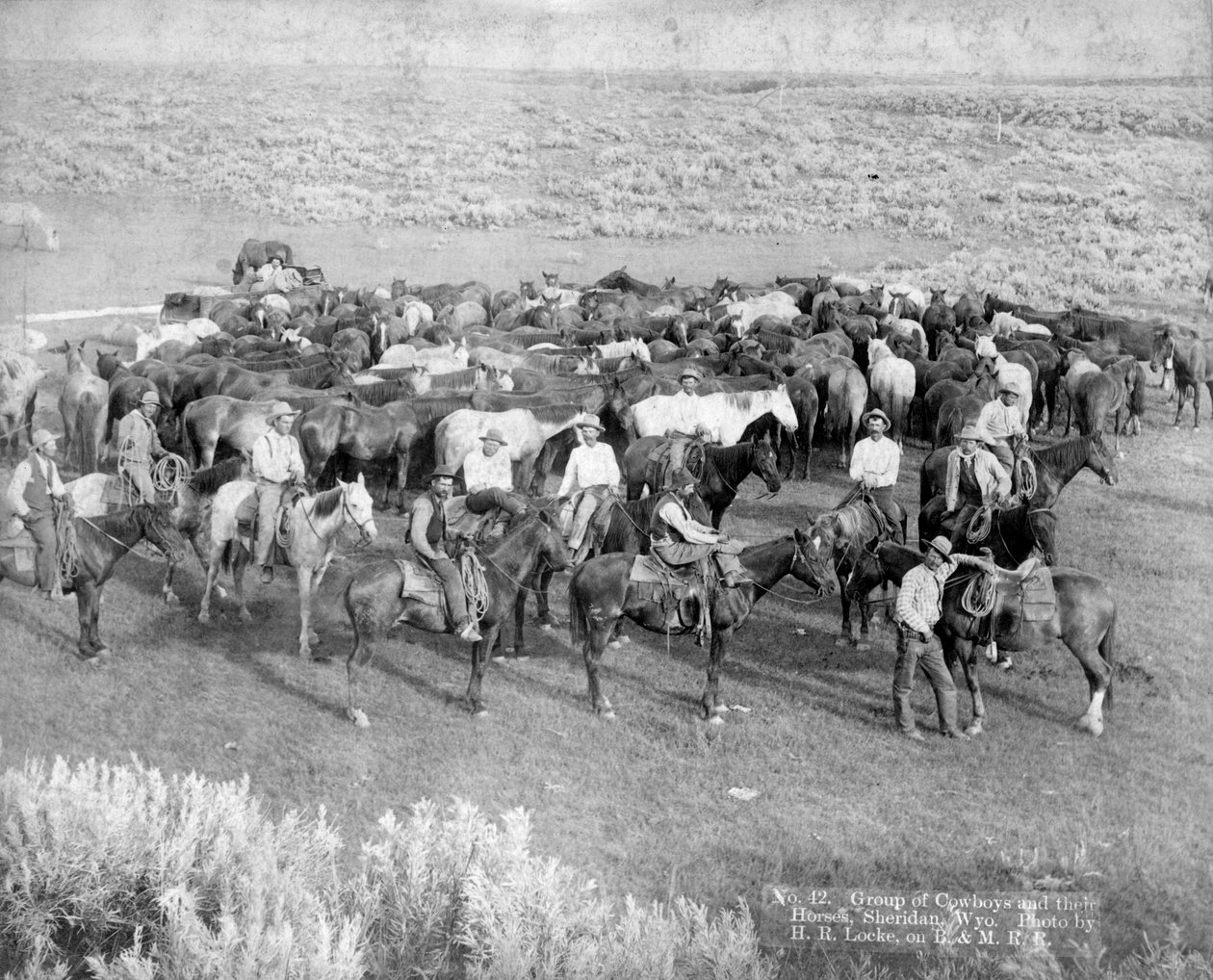 مجموعة رعاة البقر وخيلهم ، شيريدان ، وايومنغ ، c.1890 بواسطة HR لوك