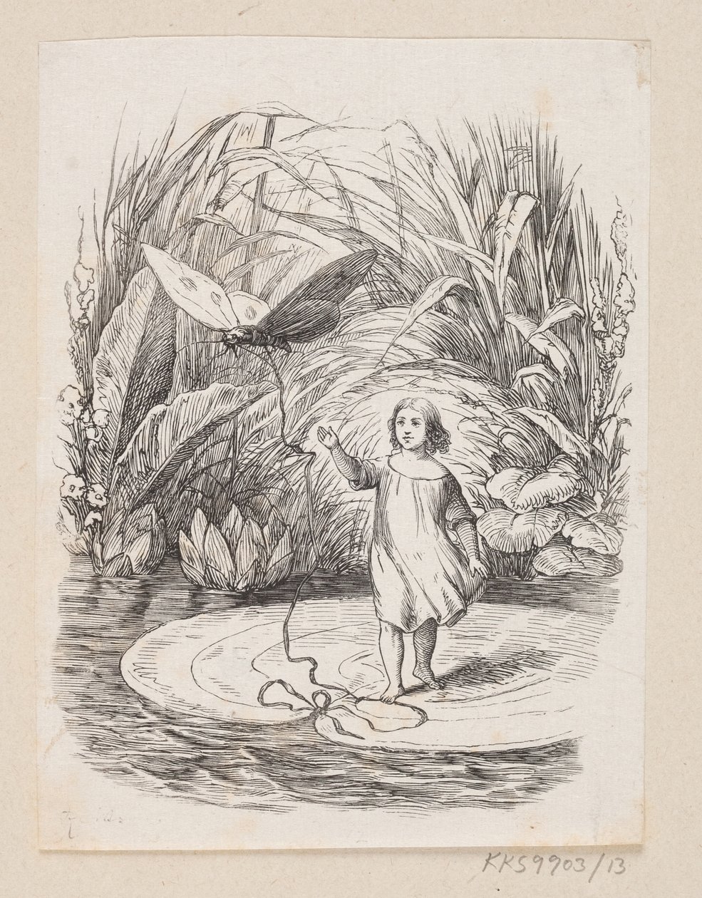 رسم توضيحي لـ "Tommelise" في HC Andersen ، "Fairy Tales and Stories" ، المجلد 1 بواسطة إتش بي هانسن