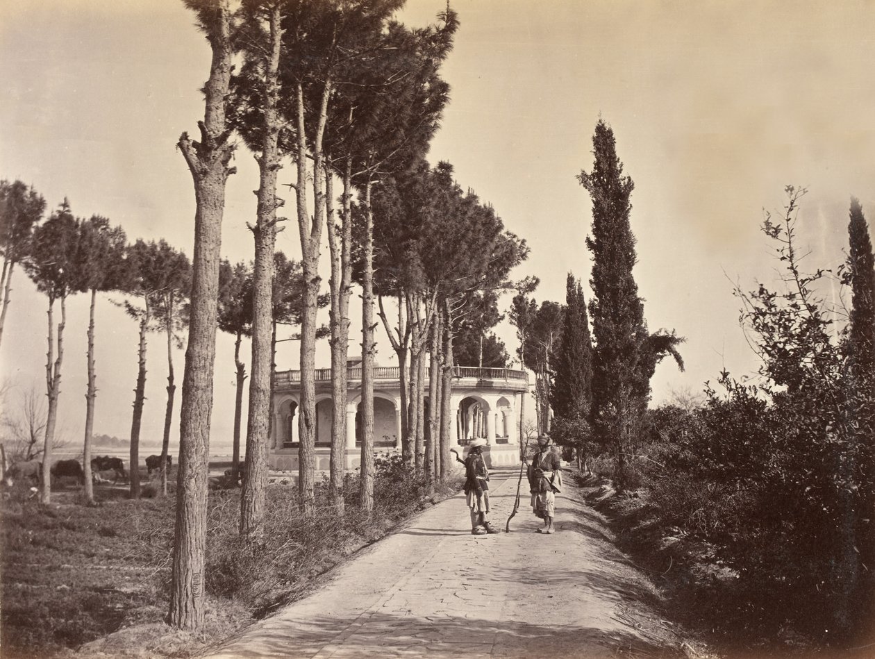 أفغان في حدائق بابور ، جلال آباد ، 1878 بواسطة H. Charuis