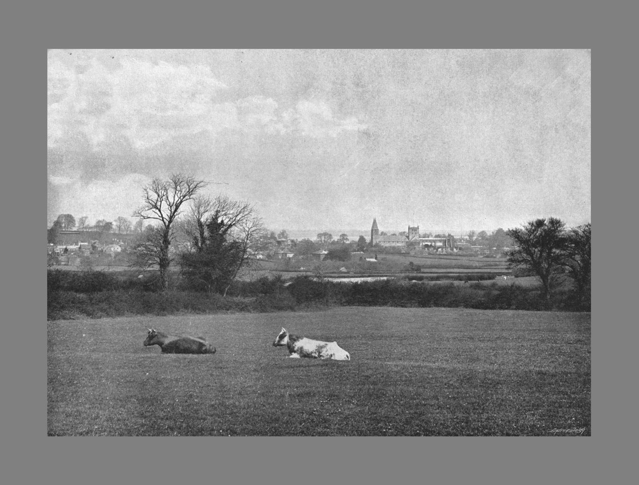 ساوثويل ، c1900 بواسطة HJ بليس