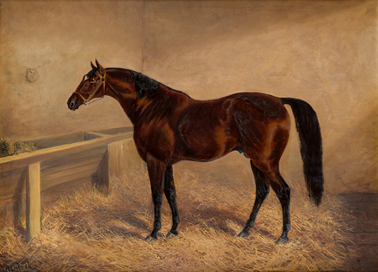 Wenlock: A Bay Racehorse ، في صندوق فضفاض ، حوالي 1881-1903 (زيت على قماش) بواسطة هـ. ويتاكر ريفيل