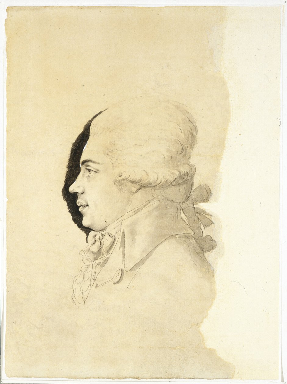 صورة للكونت نيكولاي بتروفيتش روميانتسيف 1754-1826 ، نهاية عام 1780 بواسطة مجرفة