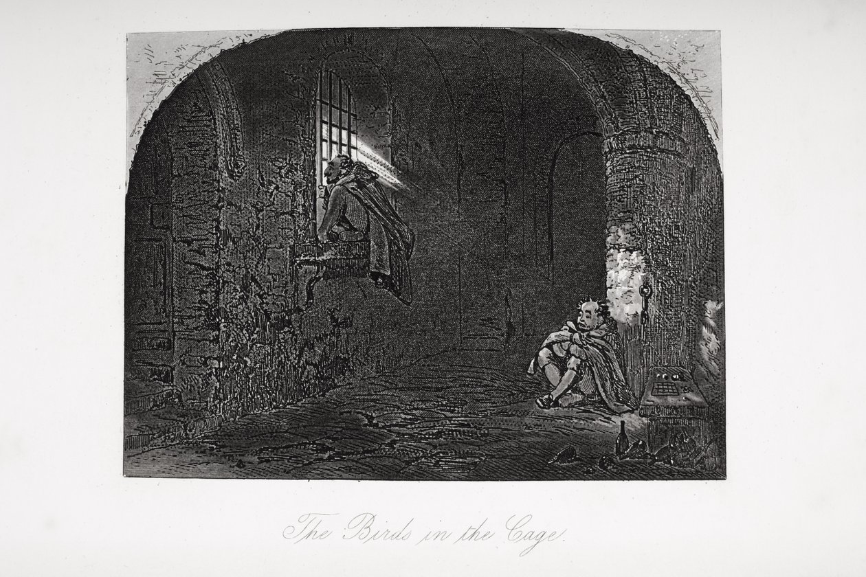 الطيور في القفص ، رسم توضيحي من "ليتل دوريت" بقلم تشارلز ديكنز (1812-1870) نشر لأول مرة عام 1857 بواسطة هابلوت نايت براون