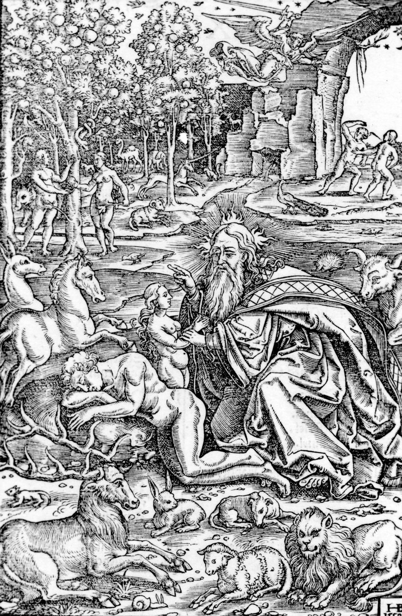 خلق حواء ، من الكتاب المقدس لوثر ، 1550 بواسطة هانز بروسامر