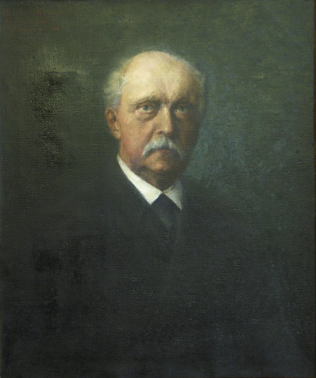 Hermann von Helmholtz بواسطة هانز شادو
