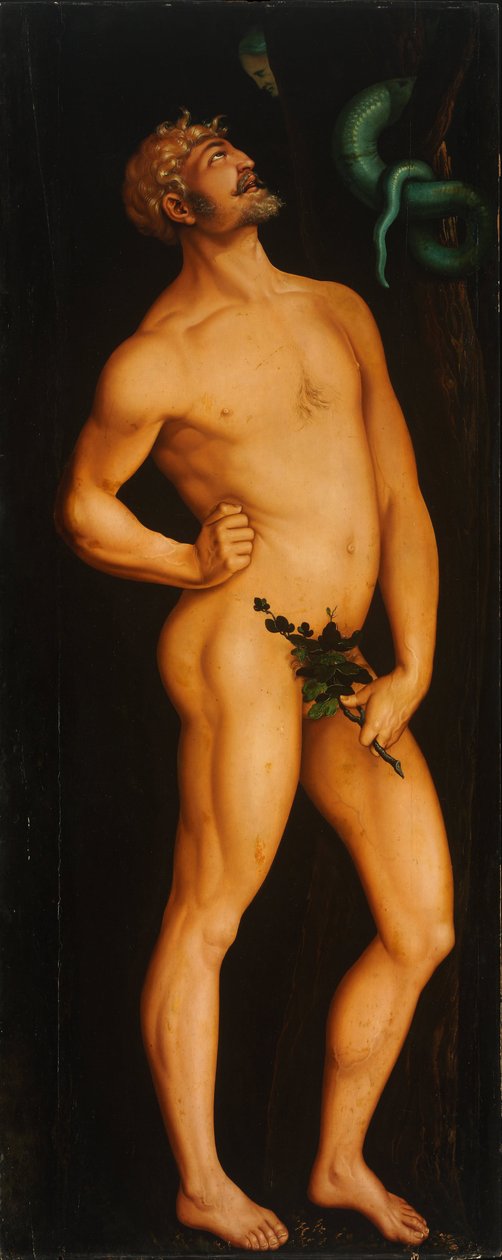 Adam - Peinture de Hans Baldung (1484-1545) - 1525-1526 - زيت على خشب - 208،5x83،5 - Szepmuveszeti Muzeum ، بودابست بواسطة هانز بالدونج جرين