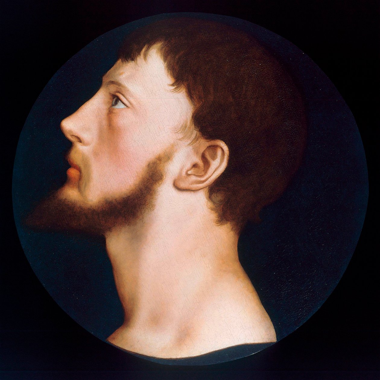 "" صورة لتوماس وايت الأصغر (1521-1554) زعيم ما يسمى ب "ثورة وايت" لوحة هانز هولبين الأصغر (1497-1543) حوالي 1541 مجموعة خاصة بواسطة هانز هولبين الأصغر