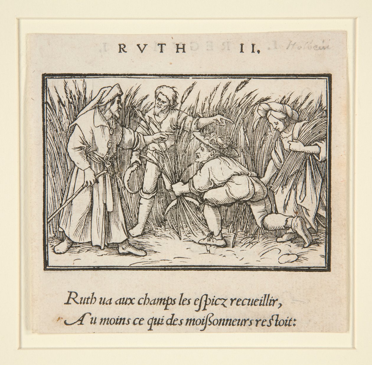 Ruth Cleaning in the Fields of Booz (وجه) ؛ حنة وإلقانة (في الظهر) بواسطة هانز هولبين الأصغر