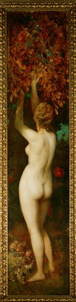  بواسطة هانز ماكارت