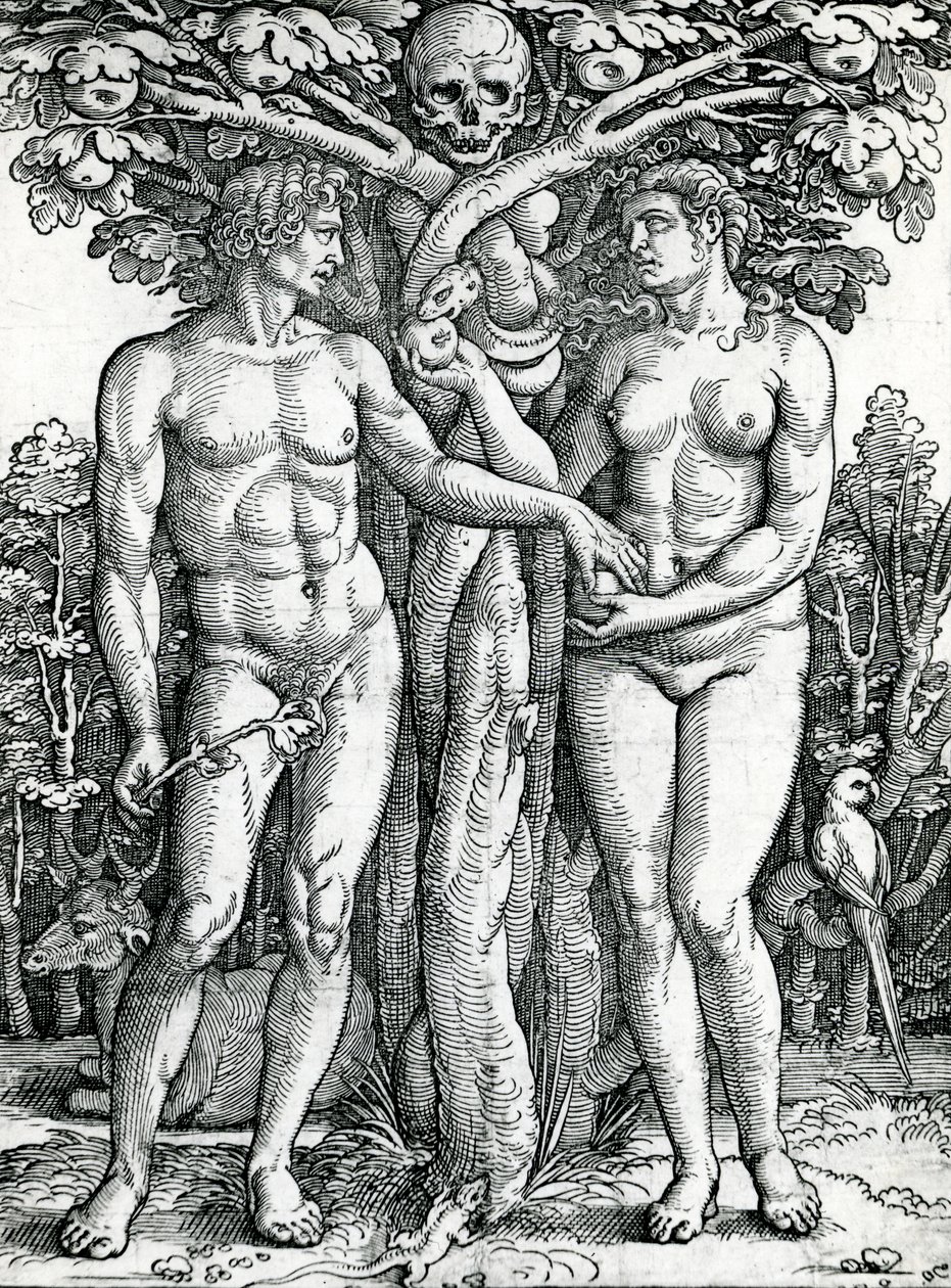 سقوط آدم وحواء ، c.1525-27 (نقش خشبي) بواسطة هانز سيبالد بهام