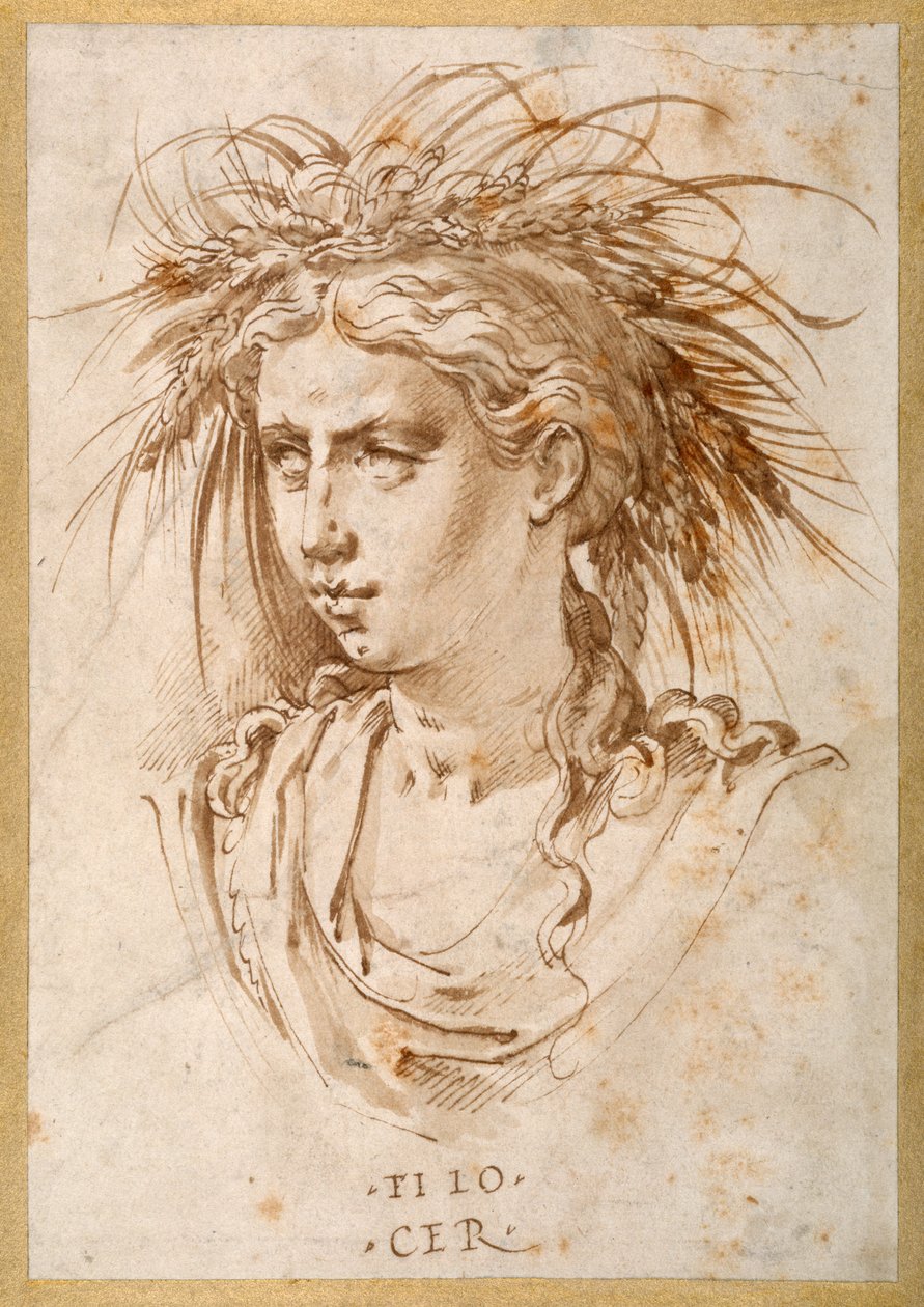 Head of Ceres (pen & brown ink on paper) بواسطة هانز سبيكايرت