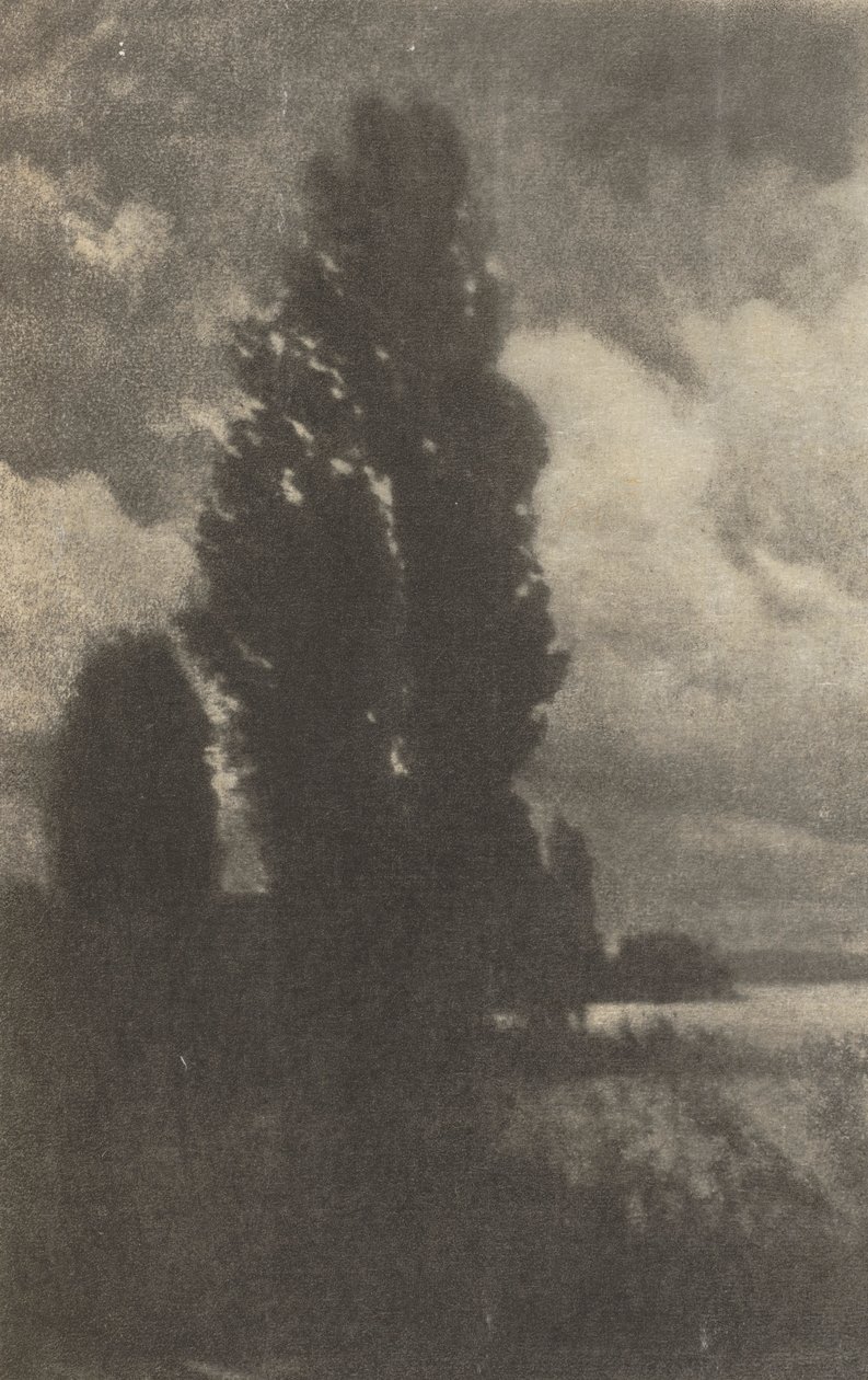 عمل الكاميرا: Poplars and Clouds ، 1906. بواسطة هانز واتزيك