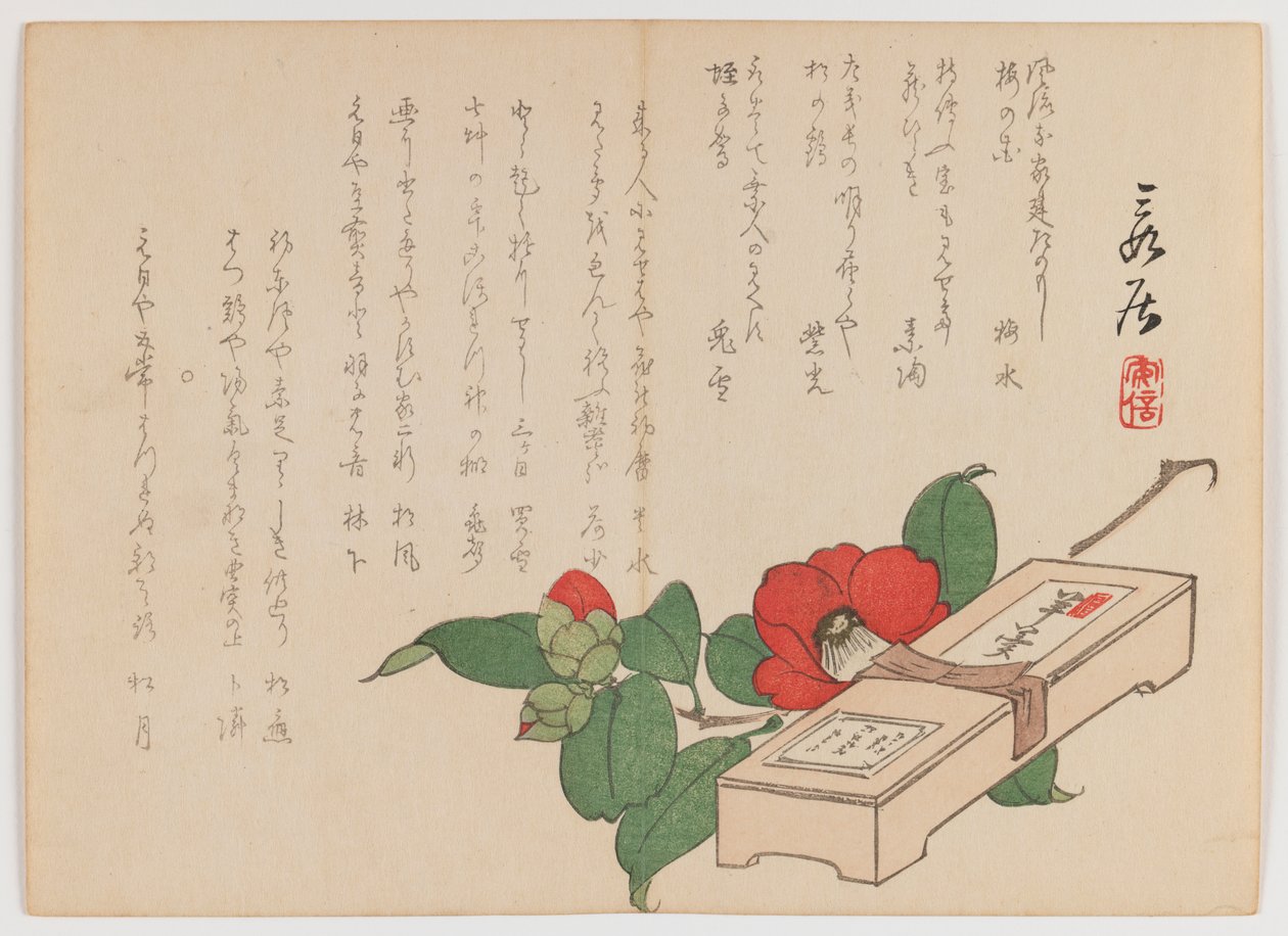 كاميليا مع صندوق الحلويات (يوكان) ، c.1860 (طباعة لوح خشبي ؛ تنسيق Chûban yoko-e الأفقي) بواسطة هانزان ماتسوكاوا
