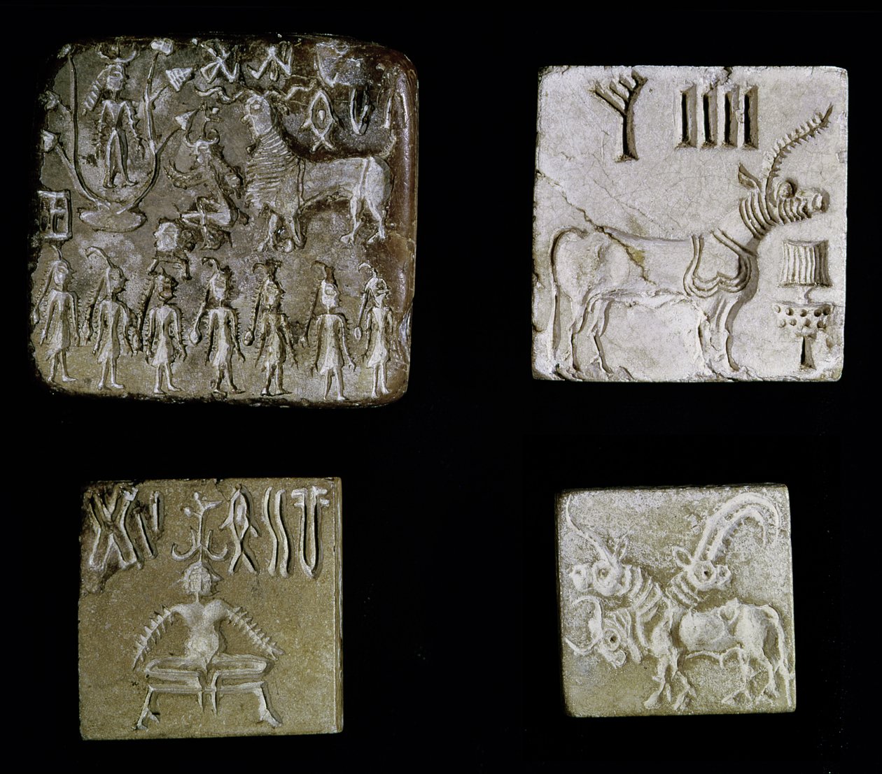 أربعة أختام تصور حيوانات أسطورية ، من موهينجو دارو ، وادي إندوس ، باكستان ، 3000-1500 قبل الميلاد بواسطة هارابان