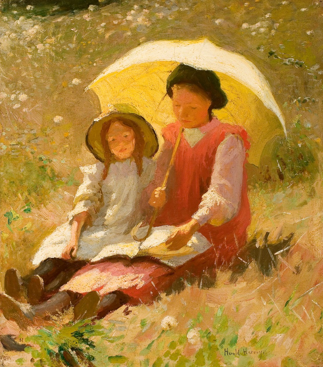  بواسطة هارولد هارفي